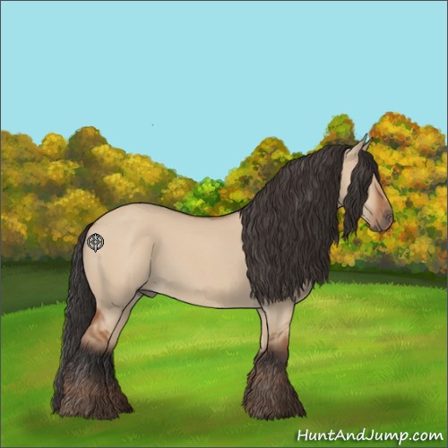 Horse Color:Bay Roan Dun Rabicano 