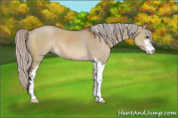 Horse Color:Silver Brown Dun Sabino 