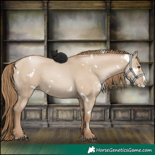Horse Color:White Spotted Grullo Pearl Splash 