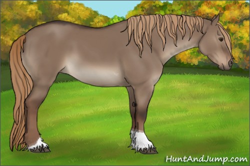 Horse Color:Liver Red Dun Tobiano 
