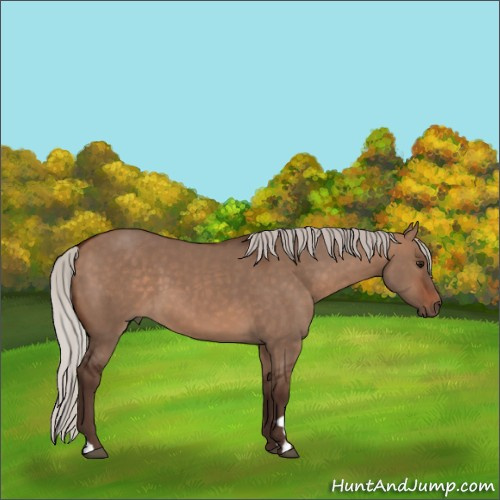 Horse Color:Silver Brown Dun 