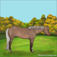 Horse Color:Silver Brown Dun