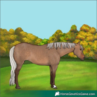 Horse Color:Silver Brown Dun