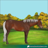 Horse Color:Silver Brown 