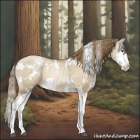 Horse Color:White Spotted Grullo Pearl Splash