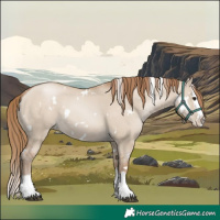 Horse Color:White Spotted Grullo Pearl Splash 