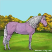 Horse Color:Watercolor Silver Buckskin 