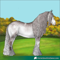 Horse Color:Platinum White Spotted Chocolate Silver Buckskin Onyx 