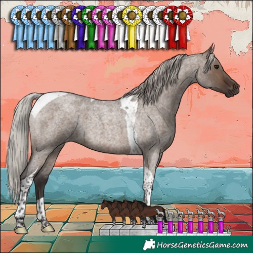 Horse Color:Silver Brown Roan Dun Tobiano 