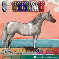 Horse Color:Silver Brown Roan Dun Tobiano 