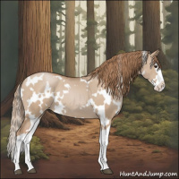 Horse Color:White Spotted Grullo Pearl Splash