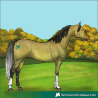 Horse Color:Bay Dun Tobiano Rabicano 