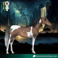 Horse Color:Bay Dun Tobiano 