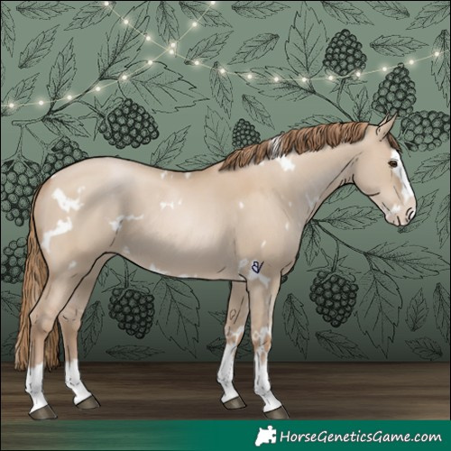 Horse Color:White Spotted Grullo Pearl Splash