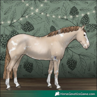 Horse Color:White Spotted Grullo Pearl Splash 