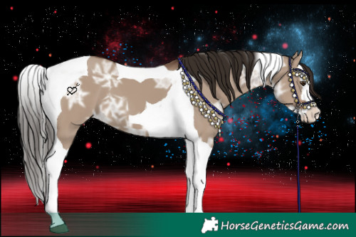 Horse Color:Liver Red Dun Ice Splash Tobiano 