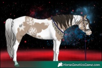 Horse Color:Liver Red Dun Ice Splash Tobiano 