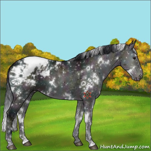 Horse Color:Platinum White Spotted Midnight Brown Onyx Sabino Appaloosa 