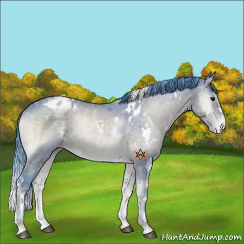 Horse Color:Platinum Watercolor White Spotted Chocolate Brown Onyx Sabino Appaloosa Brindle 