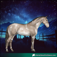 Horse Color:White Spotted Grullo Pearl