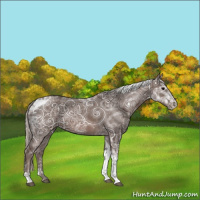 Horse Color:Silver Black Ice Tobiano
