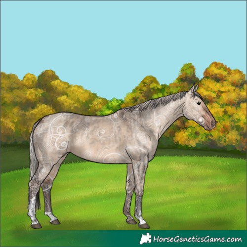 Horse Color:Void Brown Ice Dun and Silver Brown Ice Dun