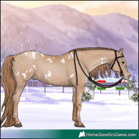 Horse Color:White Spotted Chocolate Black Pearl