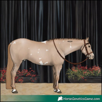 Horse Color:White Spotted Black Pearl