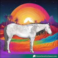 Horse Color:Platinum White Spotted Buckskin Ice Tobiano Frame 
