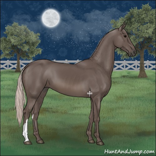 Horse Color:Silver Black 