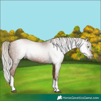 Horse Color:Gray Silver Black Pearl Tobiano 