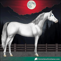 Horse Color:Brown Sabino Splash 