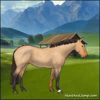 Horse Color:Buckskin Roan Dun 