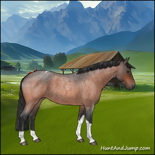 Horse Color:Bay Roan Tobiano 