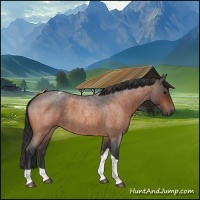 Horse Color:Bay Roan Tobiano 