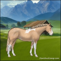 Horse Color:Gold Champagne Splash Tobiano 