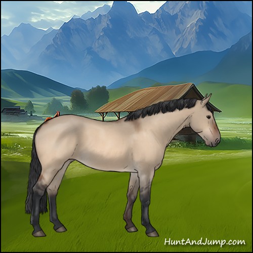 Horse Color:Bay Roan Dun 