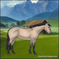 Horse Color:Bay Roan Dun 