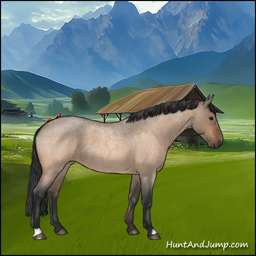 Horse Color:Bay Roan Dun