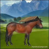Horse Color:Brown 