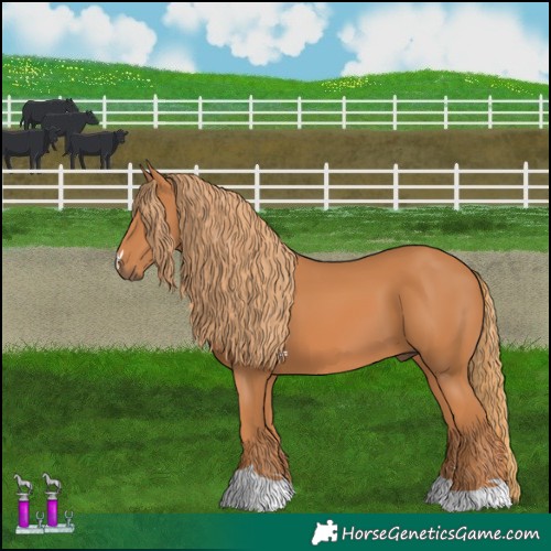 Horse Color:Chestnut 