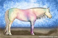 Horse Color:Perlino Dun Tobiano 