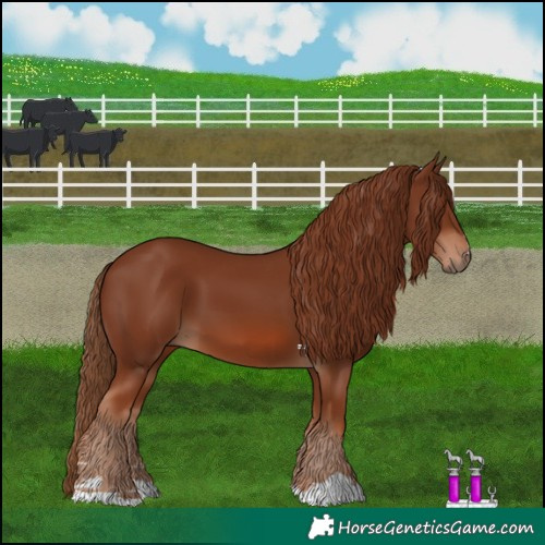 Horse Color:Chestnut 