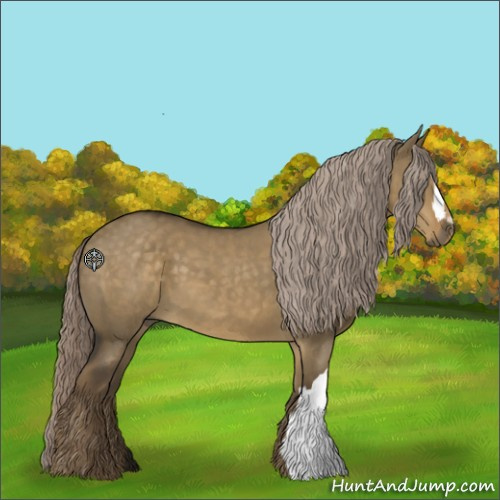 Horse Color:Chocolate Palomino Dun 