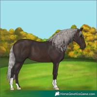 Horse Color:Silver Brown 