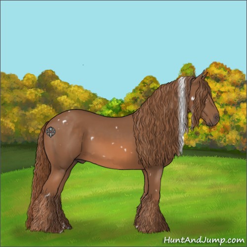 Horse Color:White Spotted Chestnut 