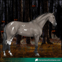 Horse Color:White Spotted Grullo