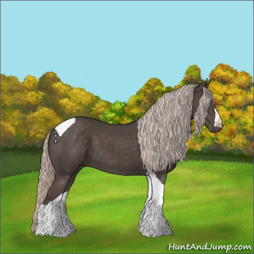 Horse Color:Silver Black Tobiano 