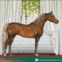 Horse Color:Chocolate Palomino 