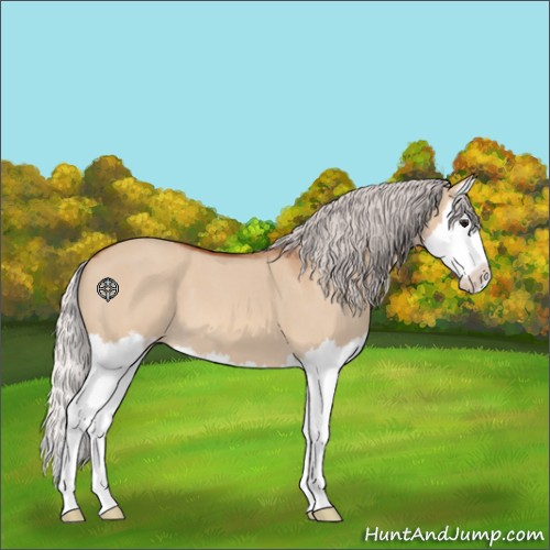 Horse Color:Silver Bay Roan Dun Splash 